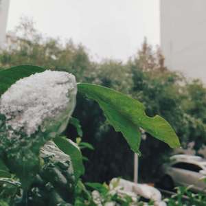 话里有话（Prod by Yzz）