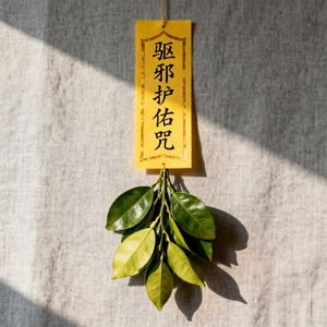 驱邪护佑咒（辟秽安身）