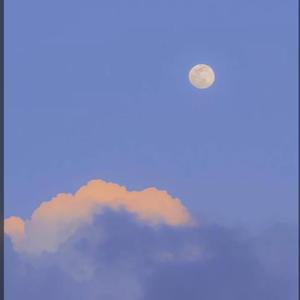 日不落(男生版)