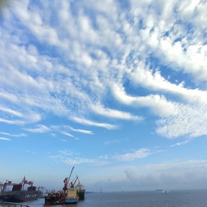 今天下雨了特别的冷而计划里应该去加班的我计划躺平了一整天