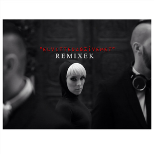 Elvitted a szívemet (DJ Junior & Roger Slato Radio Edit)