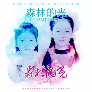 森林的光