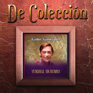 Casa De Vecindad (Album Version)