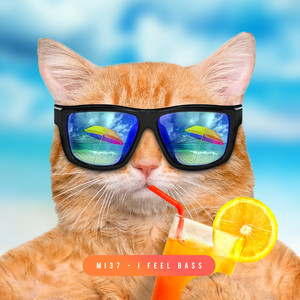 I Feel Bass (Streaming Edit)