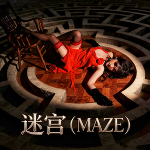 迷宫(MAZE)