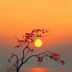 疯狂一夜不孤独