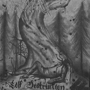 Frozen tears (feat. Desolate soul)