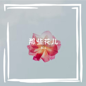 那些花儿