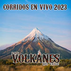 Los Hermanos Bedolla (En vivo)