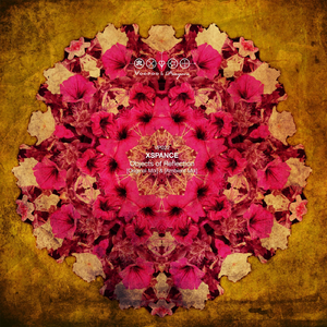 Objects of Reflection (Ambient Mix)