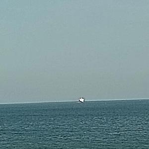 鲨鱼女孩 Shāyú nǚhái (Hai-Mädchen)