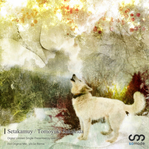 Setakamuy (y0c1e Remix)