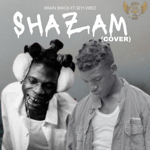 Shazam (Remix Cover)