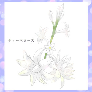 チューベローズ