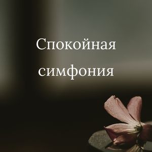 Умиротворяющий ритм