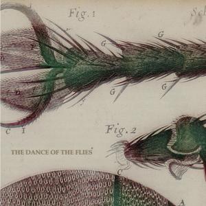 The Dance of the Flies (feat. Abby the Fox)