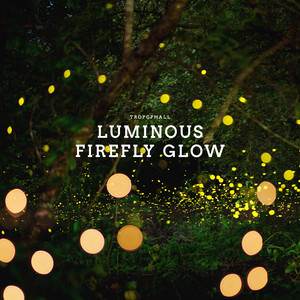 Luminous Firefly Glow