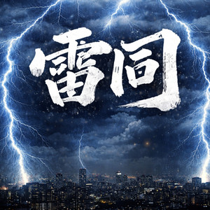 雷同