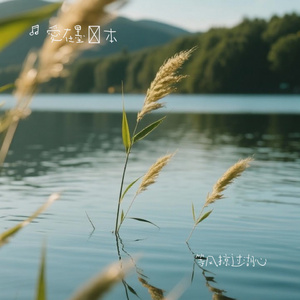 等风掠过湖心