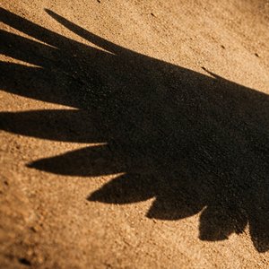 Under Your Shadow (Psalm 91)