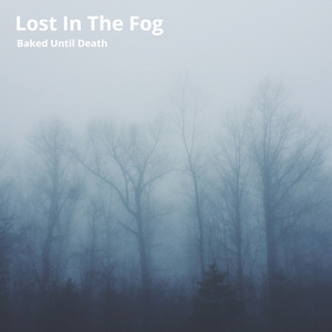 Lost in the Fog