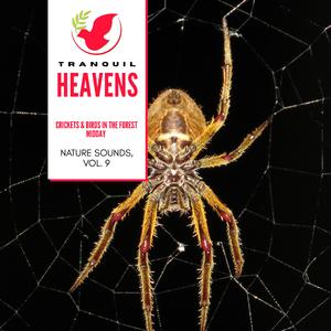 Incepting Coniferous Forest Dawn