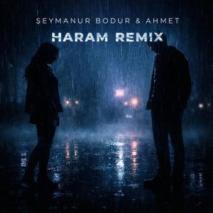 Haram (Remix)