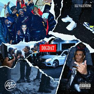 DigDat