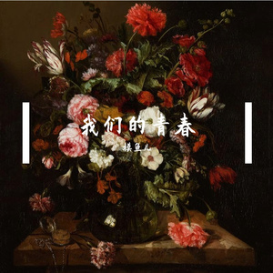 我们的青春 伴奏