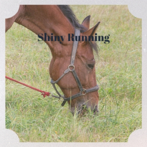 Leaving Everything Behind