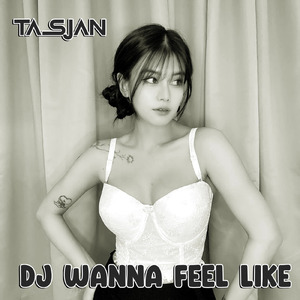 Dj Wanna Feel Like