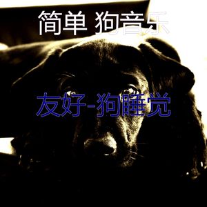 阳光明媚(睡狗)