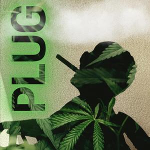 Plug