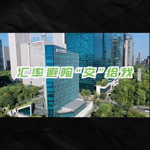 汇率避险“交”给我