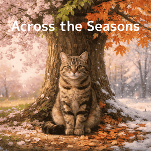 Across the Seasons