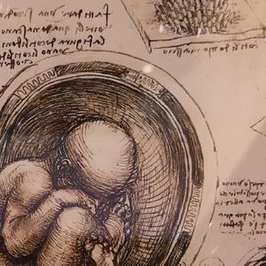 当一颗石头落在春天里