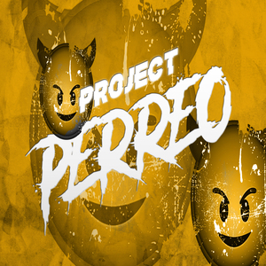 PROJECT PERREO - VERANO 2024
