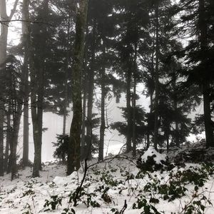 Rain - 하루도 (Not A Single Day) slowed