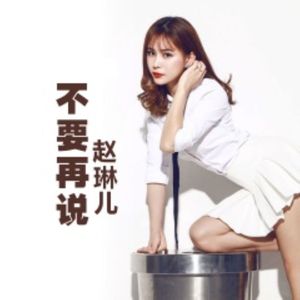 不要再说