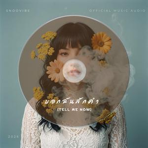 บอกฉันสักคำ (Tell Me Now)
