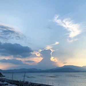 左肩(翻自 安苏羽)