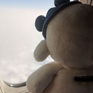 我期待的不是雪