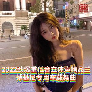 DJ国飞-2022劲爆重低音立体声精品兰博基尼专用车载舞曲（DJ国飞 remix）