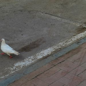 想把我唱给你听