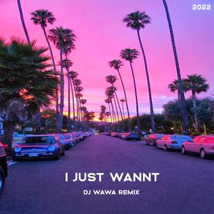 DJWawa - I Just Wannt (Original mix)