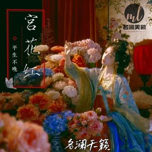 宫花红（dj版）