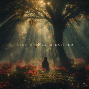 Like We Never Existed