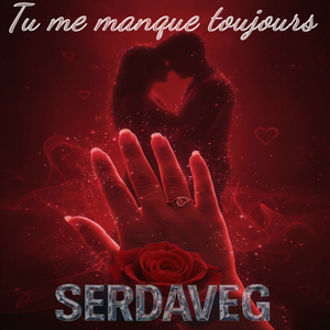 Tu me manque toujours