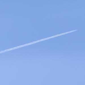 Al gran Mauro Ezequiel Lombardo