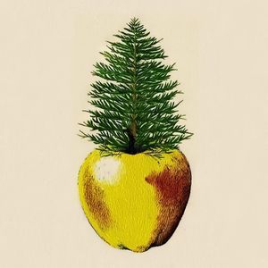 Cider #节奏玩家-采样8